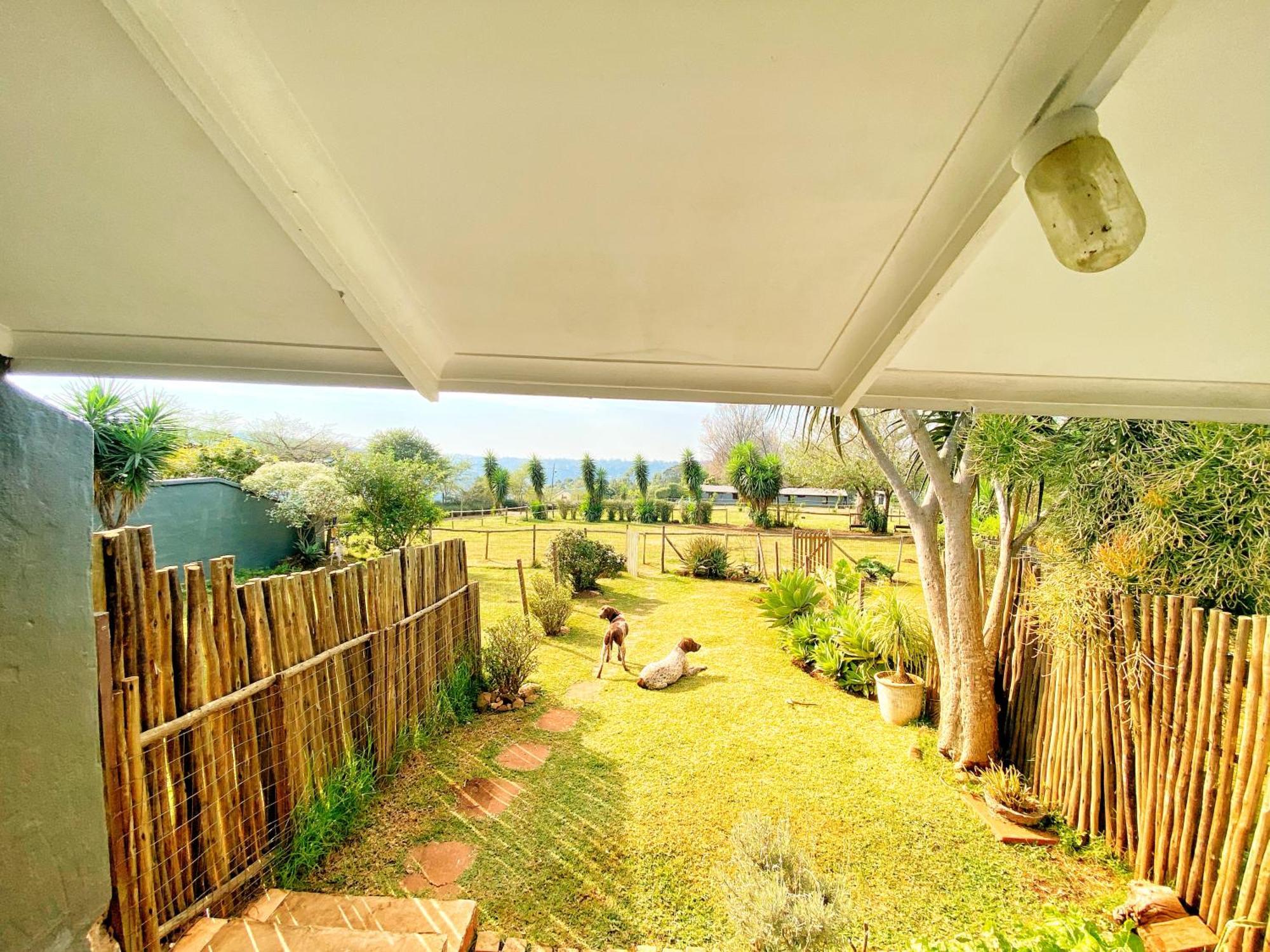 Fever Tree Guesthouse Hillcrest Exterior photo